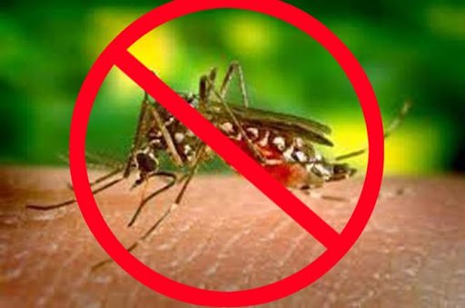 Rashtriya Jagrookta | अभी का मौसम मच्छरों के लिए है अनुकूल, डेंगू को लेकर रहें...